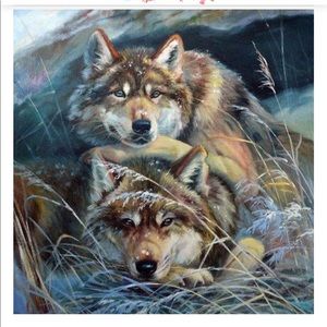 Meet your Posher, Janice